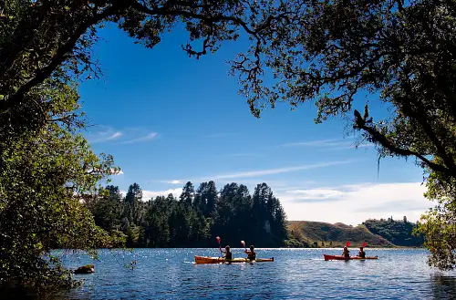 Lake Rotoiti Kayak Tour