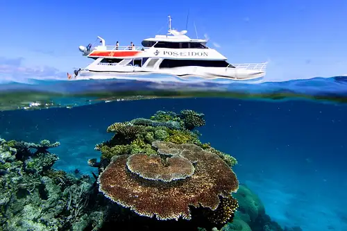 Poseidon Outer Reef Snorkel | Intro Dive | Cert Dive - Port Douglas
