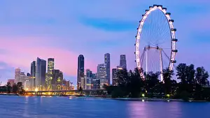 Singapore Flyer Observation Wheel and Time Capsule Entry Ticket