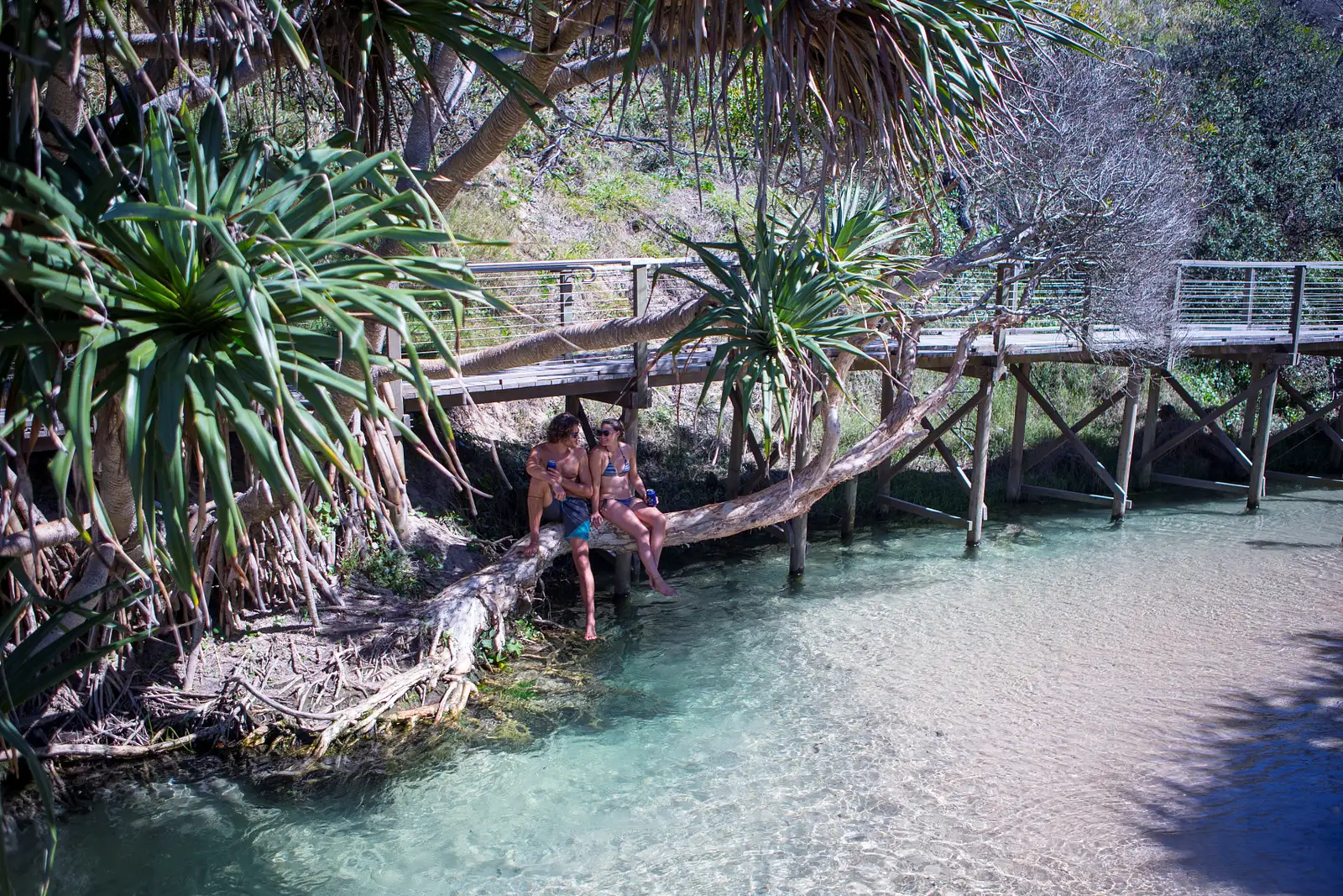K’gari Tour Deals – Lake McKenzie (Boorangoora)