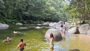 Cape Tribulation Day Tour With Mossman Gorge and Daintree Rainforest