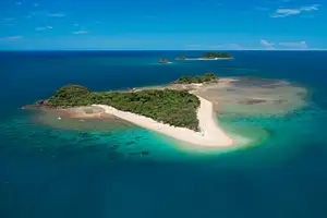 Cairns Reef, Rainforest & River Day Tour Deals