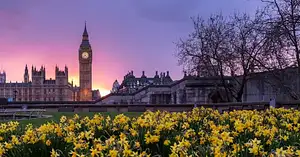 Full Day Best of London Guided Tour | Private Car