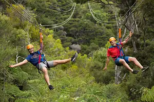 EcoZip waiheke island zip line tour